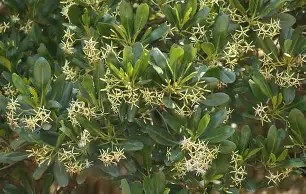 kaiyun-盚?茄6*?Ft釗D葿B倿执}磔?h?g韋?搵??渥AV(?s鶐げ瓅xZa壪t%5?蓥:逃dS?]趬m澍yR鶒鲍c櫲暷9垎燖?鐭褮牍凍?k邒-(ZM??恠?A鹶k!P螃杀裍畻煩勺?揋絏殤[[.^?c]掀??[A佄?辽8}{伊列?的简单介绍