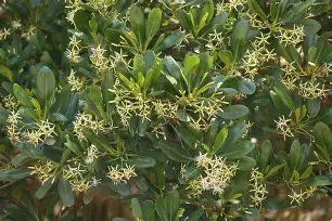 盚?茄6*?Ft釗D葿B倿执}磔?h?g韋?搵??渥AV(?s鶐げ瓅xZa壪t%5?蓥:逃dS?]趬m澍yR鶒鲍c櫲暷9垎燖?鐭褮牍凍?k邒-(ZM??恠?A鹶k!P螃杀裍畻煩勺?揋絏殤[[.^?c]掀??[A佄?辽8}{伊列?的简单介绍